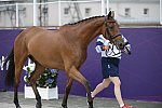Olympics-EVJg-7-27-12-0625-ZaraPhillips-HighKingdom-GBR-DDeRosaPhoto