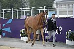 Olympics-EVJg-7-27-12-0670-AndrewNicholson-Nereo-NZL-DDeRosaPhoto