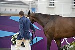 Olympics-EVJg-7-27-12-0709-MikhailNastenko-CoolroyPiter-RUS-DDeRosaPhoto