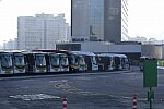 Olympics-RIO-8-15-16-7934-DDeRosaPhoto