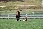 Olympics-7-4-16-0617-DDeRosaPhoto