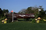 Olympics-7-4-16-0800-DDeRosaPhoto