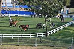 Olympics-7-4-16-0853-DDeRosaPhoto