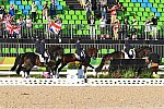 Olympics-DRE-TM-Awards-8-12-16-3519-DDeRosaPhoto