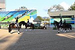 Olympics-DRE-TM-Awards-8-12-16-7656-DDeRosaPhoto