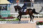 Olympics-RIO-DRE-8-11-16-5605-SteffenPeters-Legolas92-USA-DDeRosaPhoto