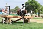 Olympics-RIO-EV-XC-8-8-16-0786-BoydMartin-BlackfootMystery-USA-DDeRosaPhoto