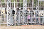Olympics-RIO-SJ-2ndQual-Rnd1TM-8-16-16-5805-DDeRosaPhoto