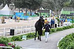 Olympics-RIO-DRE-Jog-8-8-16-6526-DDeRosaPhoto
