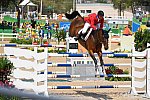 Olympics-SJ-4thQual-A-Rnd3-Ind-8-19-16-9901-McLainWard-Azur-USA-DDeRosaPhoto