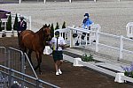 OLY-2020-DRESSAGE-JOG-7-24-21-0718-101-Mary Hanna-Calanta-AUS-DDEROSAPHOTO 3