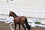 OLY-2020-DRESSAGE-JOG-7-24-21-0800-112-OLIVA JV MARCARI-ESCORIAL-BRA-DDEROSAPHOTO