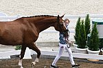 OLY-2020-DRESSAGE-JOG-7-24-21-0810-113-BEAULIEU B FRASER-ALL IN-CAN-DDEROSAPHOTO