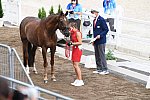 OLY-2020-DRESSAGE-JOG-7-24-21-0848118-CATHRINE DUFOUR-BOHEMIAN-DEN-DDEROSAPHOTO