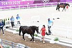 OLY-2020-DRESSAGE-JOG-7-24-21-0866-120-CC KRUTH-HELINE'S DANCERA-DEN-DDEROSAPHOTO