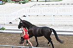 OLY-2020-DRESSAGE-JOG-7-24-21-0871-120-CC KRUTH-HELINE'S DANCERA-DEN-DDEROSAPHOTO