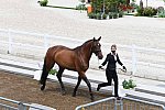 OLY-2020-DRESSAGE-JOG-7-24-21-0882-122-LOSIS DE MUNIZ Y-AQUAMARIJN-DOM-DDEROSAPHOTO