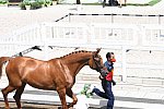 OLY-2020-DRESSAGE-JOG-7-24-21-0895-124-JA GARCIA-MENA-DIVINA ROYAL-ESP-DDEROSAPHOTO