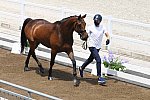 OLY-2020-DRESSAGE-JOG-7-24-21-0940-128-HENRI RUOSTE-KONTESTRO DB-FIN-DDEROSAPHOTO