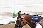 OLY-2020-DRESSAGE-JOG-7-24-21-0942-128-HENRI RUOSTE-KONTESTRO DB-FIN-DDEROSAPHOTO
