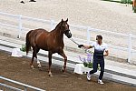 OLY-2020-DRESSAGE-JOG-7-24-21-0947-129-ALEXANDRA AYACHE-ZQ WHAT-FRA-DDEROSAPHOTO