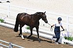 OLY-2020-DRESSAGE-JOG-7-24-21-0955-130-MORGAN BARBANCON-SIR DONNERHALL II OLD-FRA-DDEROSAPHOTO