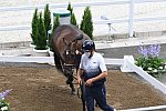 OLY-2020-DRESSAGE-JOG-7-24-21-0976-132-ISABELLA PINTO-HOT CHOCOLAT VD-KWAPLAS-FRA-DDEROSAPHOTO