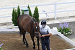 OLY-2020-DRESSAGE-JOG-7-24-21-0983-132-ISABELLA PINTO-HOT CHOCOLAT VD-KWAPLAS-FRA-DDEROSAPHOTO