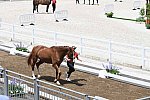 OLY-2020-DRESSAGE-JOG-7-24-21-1051-140-ISABELL WERTH-BELLAROSE 2-GER-DDEROSAPHOTO