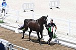 OLY-2020-DRESSAGE-JOG-7-24-21-1072-142-FRANCESCO ZAZA-WISPERING ROMANCE-ITA-DDEROSAPHOTO