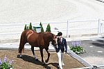 OLY-2020-DRESSAGE-JOG-7-24-21-1114-145-HKAZUKI SADO-LUDWIG DER SONNENKOENIG 2-JPN-DDEROSAPHOTO