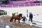 OLY-2020-DRESSAGE-JOG-7-24-21-1139-148 N WAGNER EHLINGER-QUATER BACK JUNIOR FRN-LUX-DDEROSAPHOTO