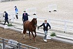 OLY-2020-DRESSAGE-JOG-7-24-21-1143-148 N WAGNER EHLINGER-QUATER BACK JUNIOR FRN-LUX-DDEROSAPHOTO