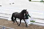 OLY-2020-DRESSAGE-JOG-7-24-21-1154-149-YESSUB RAHMOUNI-ALL AT ONCE-MOR-DDEROSAPHOTO