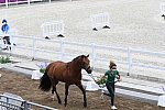 OLY-2020-DRESSAGE-JOG-7-24-21-1162-150-QUIRARTE DE VALLE-BEDUINO LAM-MEX-DDEROSAPHOTO