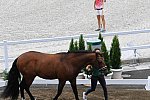 OLY-2020-DRESSAGE-JOG-7-24-21-1171-150-QUIRARTE DE VALLE-BEDUINO LAM-MEX-DDEROSAPHOTO