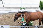 OLY-2020-DRESSAGE-JOG-7-24-21-1172-150-QUIRARTE DE VALLE-BEDUINO LAM-MEX-DDEROSAPHOTO