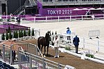 OLY-2020-DRESSAGE-JOG-7-24-21-1185-151-EDWARD GAL-TOTAL US-NED-DDEROSAPHOTO