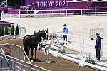 OLY-2020-DRESSAGE-JOG-7-24-21-1187-151-EDWARD GAL-TOTAL US-NED-DDEROSAPHOTO