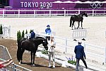OLY-2020-DRESSAGE-JOG-7-24-21-1200-152-HP MINDERHOUD-DREAM BOY-NED-DDEROSAPHOTO