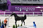 OLY-2020-DRESSAGE-JOG-7-24-21-1211-152-HP MINDERHOUD-DREAM BOY-NED-DDEROSAPHOTO