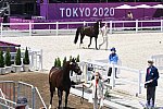 OLY-2020-DRESSAGE-JOG-7-24-21-1225-154-DINGE VAN LIERE-HAUTE COUTURE-NED-DDEROSAPHOTO