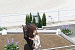 OLY-2020-DRESSAGE-JOG-7-24-21-1232-154-DINGE VAN LIERE-HAUTE COUTURE-NED-DDEROSAPHOTO
