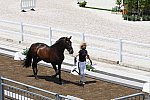 OLY-2020-DRESSAGE-JOG-7-24-21-1238-155-MARIA CAETANO-FENIX DE TINEO-POR-DDEROSAPHOTO