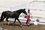 OLY-2020-DRESSAGE-JOG-7-24-21-1315-160-INESSA MERKULOVA-MISTER X-ROC-DDEROSAPHOTO