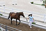 OLY-2020-DRESSAGE-JOG-7-24-21-1401-170-INNA LUGUTENKOVA-FLERARO-UKR-DDEROSAPHOTO