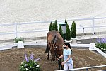 OLY-2020-DRESSAGE-JOG-7-24-21-1408-170-INNA LUGUTENKOVA-FLERARO-UKR-DDEROSAPHOTO