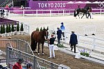 OLY-2020-DRESSAGE-JOG-7-24-21-1441-172-STEFFEN PETERS-SUPPERKASPER-USA-DDEROSAPHOTO