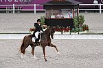 OLY-2020-DRESSAGE-GP FREESTYLE-7-28-21-9162-140-ISABELL WERTH-BELLA ROSE 2-GER-DDEROSAPHOTO