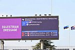 OLY-2020-DRESSAGE-GP FREESTYLE-7-28-21-7559-172-STEFFEN PETERS-SUPPENKASPER-USA-DDEROSAPHOTO